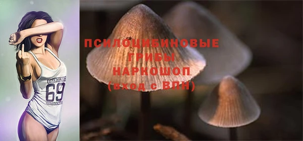 винт Медвежьегорск