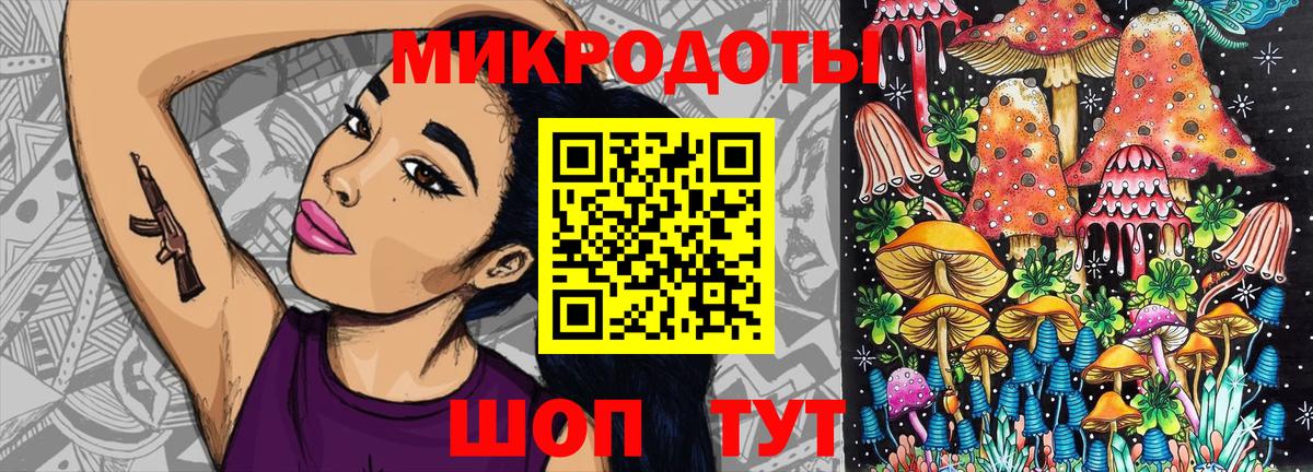 где купить наркотик  Новошахтинск  Псилоцибиновые грибы GOLDEN TEACHER  Галлюциногенные грибы прущие грибы 