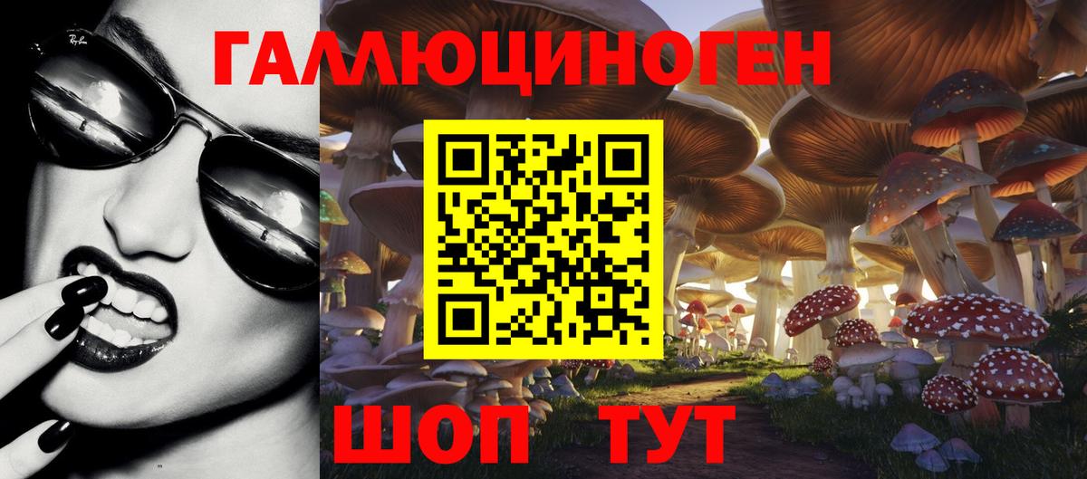 Галлюциногенные грибы мухоморы  купить наркоту  Новошахтинск  Вход с VPN 