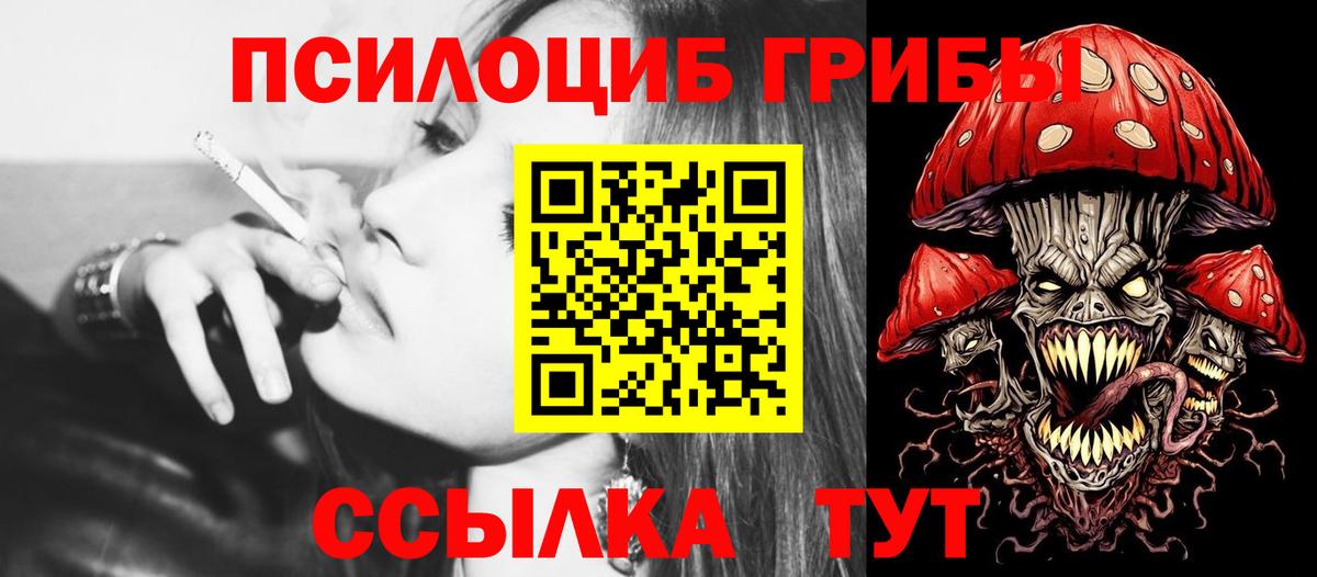 Галлюциногенные грибы Psilocybine cubensis Новошахтинск